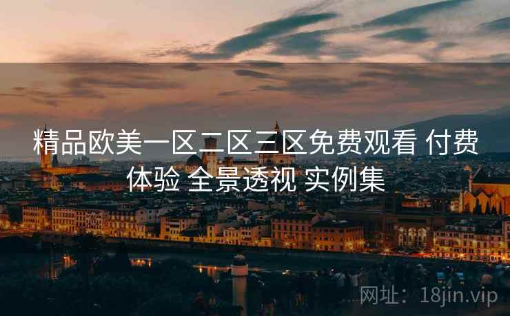 精品欧美一区二区三区免费观看 付费体验 全景透视 实例集