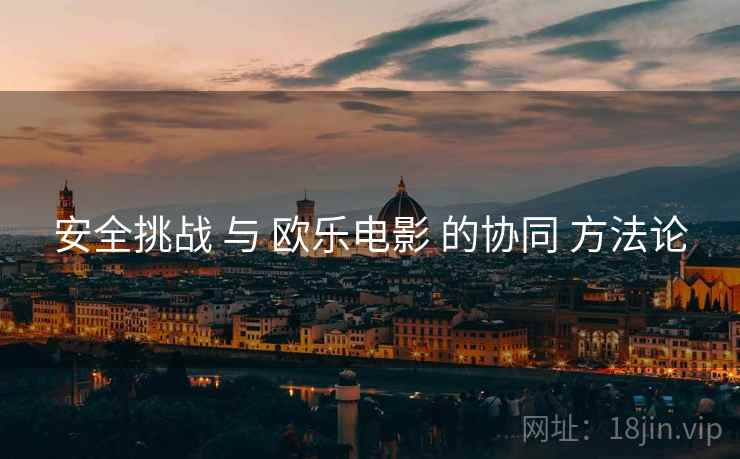 安全挑战 与 欧乐电影 的协同 方法论