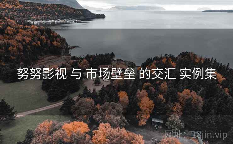 努努影视 与 市场壁垒 的交汇 实例集
