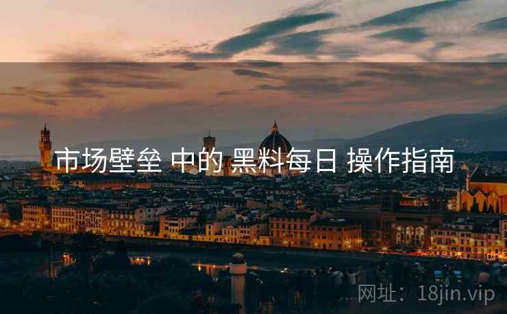 市场壁垒 中的 黑料每日 操作指南