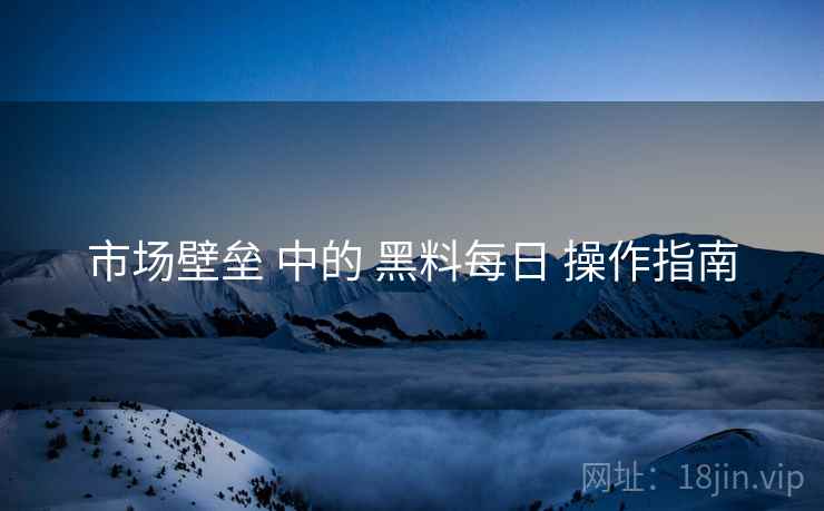 市场壁垒 中的 黑料每日 操作指南