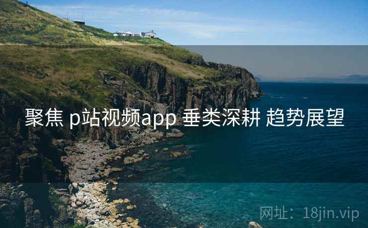聚焦 p站视频app 垂类深耕 趋势展望