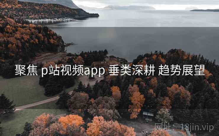 聚焦 p站视频app 垂类深耕 趋势展望