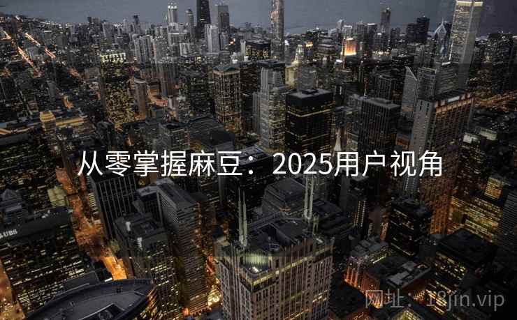 从零掌握麻豆：2025用户视角