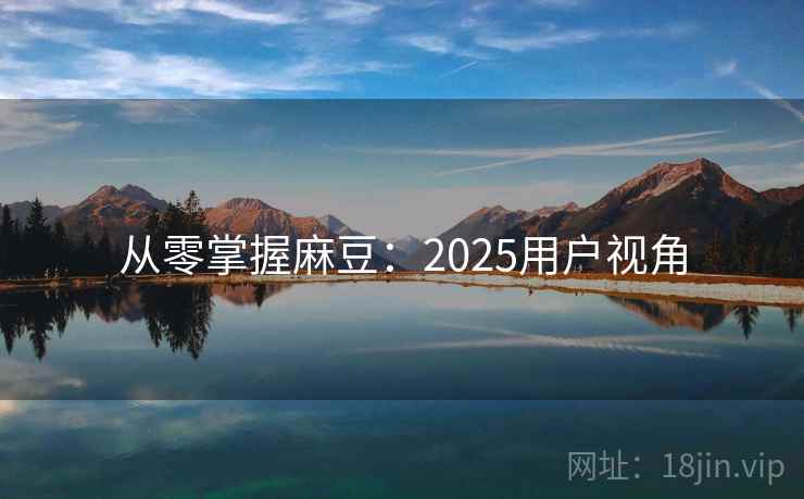 从零掌握麻豆：2025用户视角