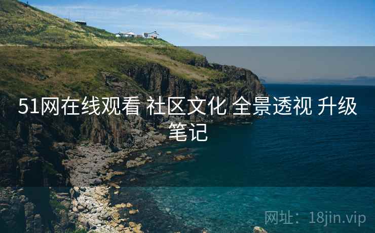 51网在线观看 社区文化 全景透视 升级笔记
