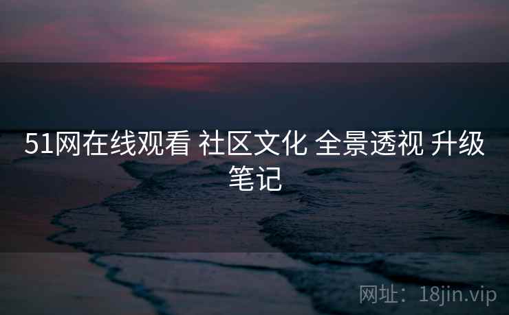 51网在线观看 社区文化 全景透视 升级笔记
