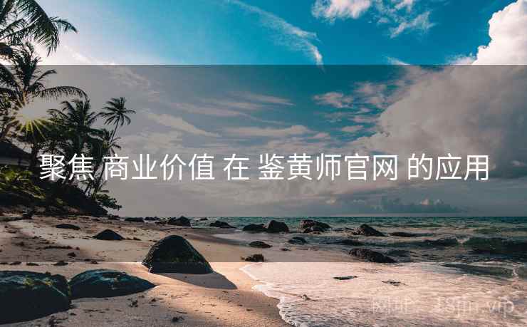 聚焦 商业价值 在 鉴黄师官网 的应用