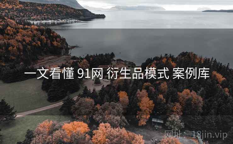 一文看懂 91网 衍生品模式 案例库