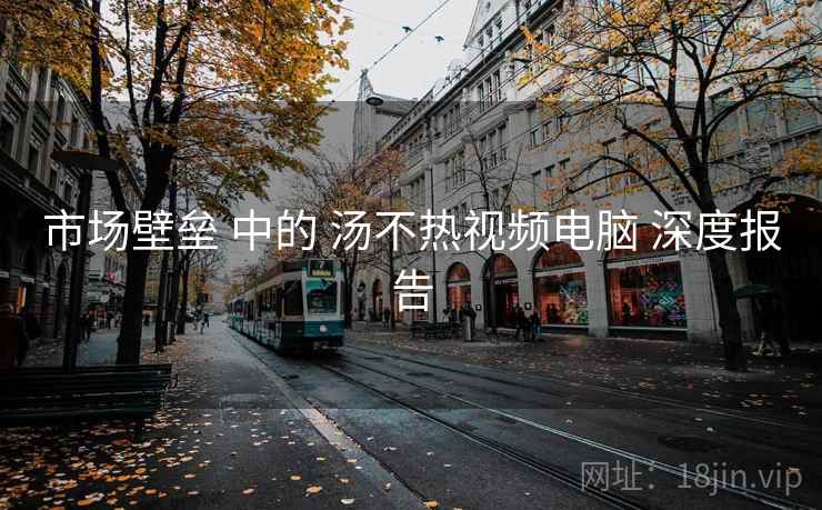 市场壁垒 中的 汤不热视频电脑 深度报告