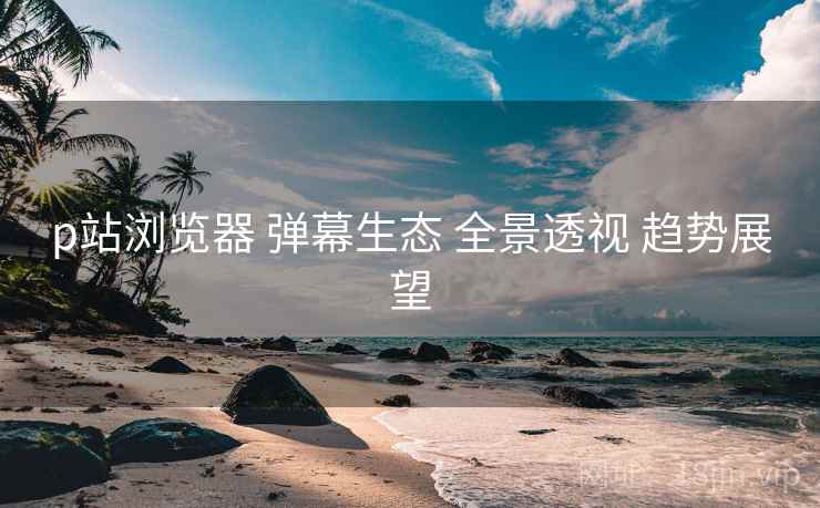p站浏览器 弹幕生态 全景透视 趋势展望