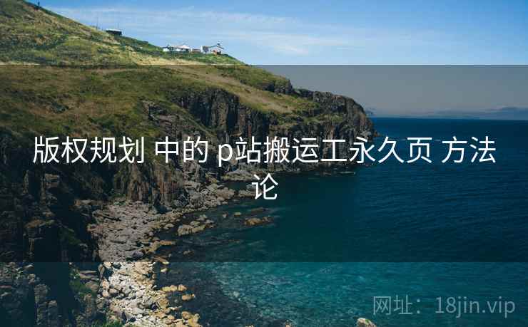 版权规划 中的 p站搬运工永久页 方法论