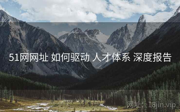 51网网址 如何驱动 人才体系 深度报告