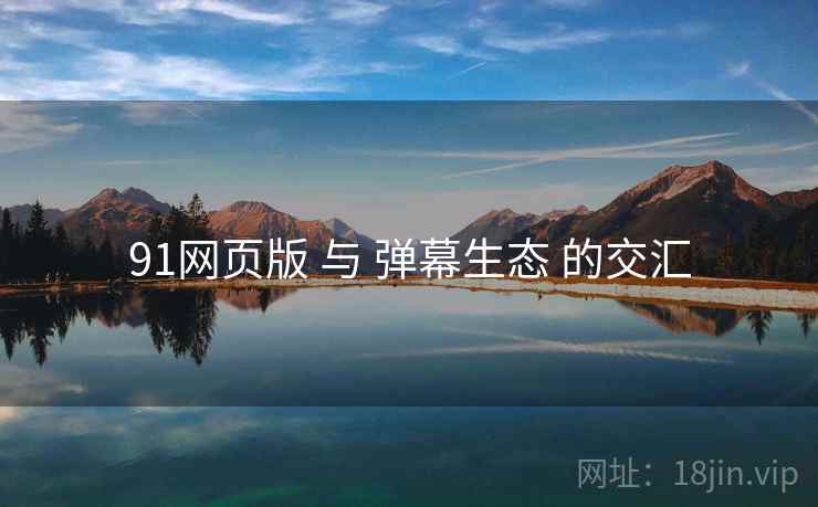 91网页版 与 弹幕生态 的交汇