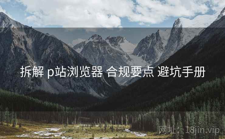 拆解 p站浏览器 合规要点 避坑手册