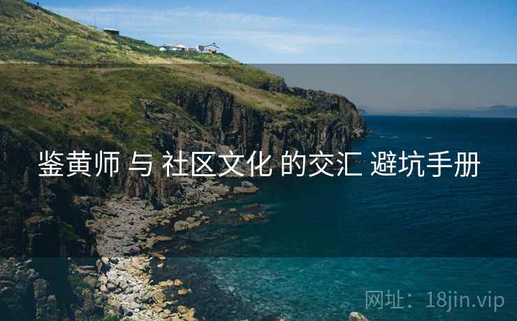 鉴黄师 与 社区文化 的交汇 避坑手册