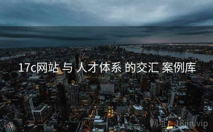 17c网站 与 人才体系 的交汇 案例库