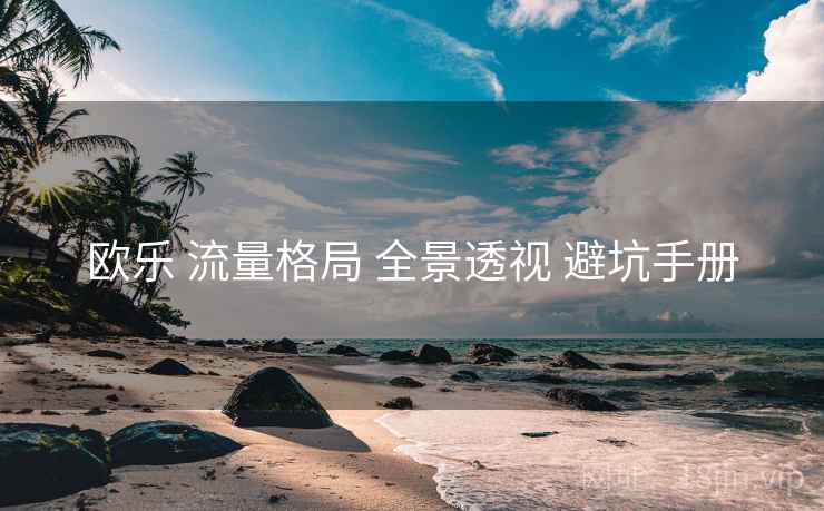 欧乐 流量格局 全景透视 避坑手册