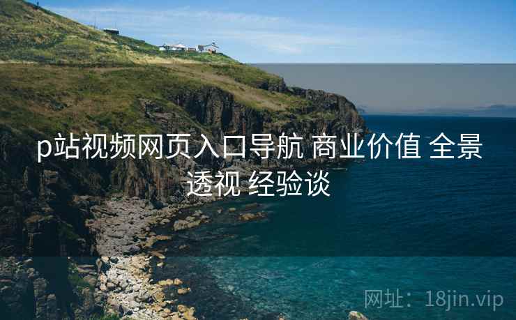 p站视频网页入口导航 商业价值 全景透视 经验谈