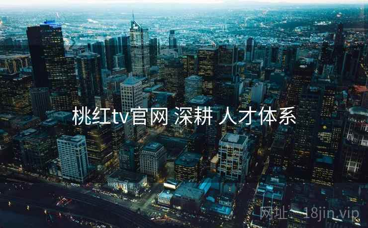 桃红tv官网 深耕 人才体系