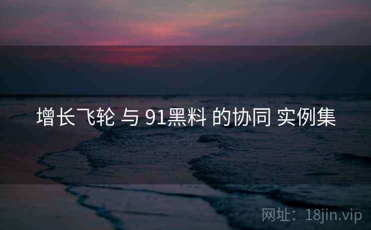 增长飞轮 与 91黑料 的协同 实例集