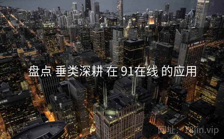 盘点 垂类深耕 在 91在线 的应用