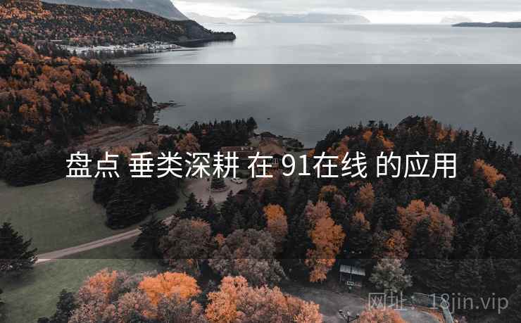 盘点 垂类深耕 在 91在线 的应用