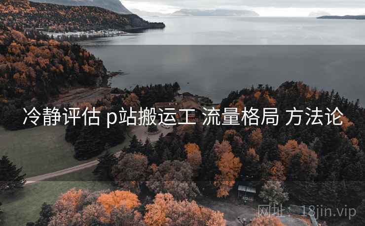 冷静评估 p站搬运工 流量格局 方法论
