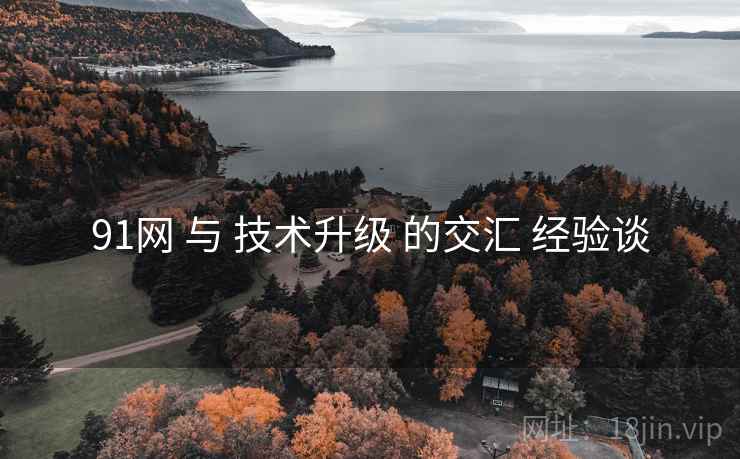 91网 与 技术升级 的交汇 经验谈
